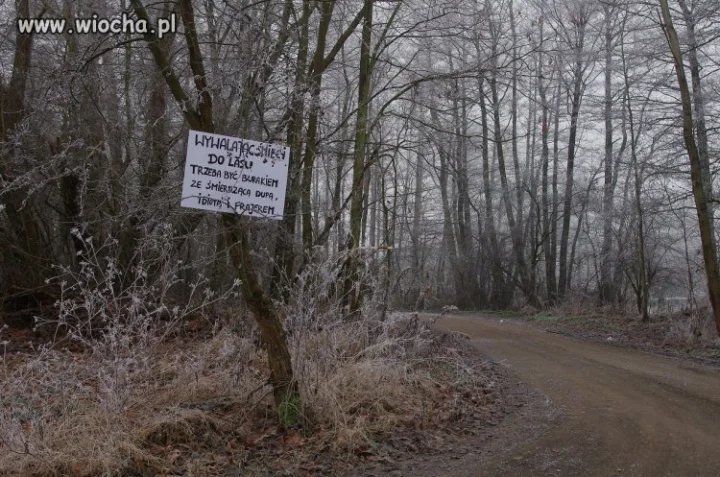 Bo porządek musi być. 