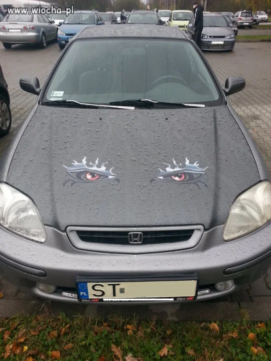 Piękne oczy...