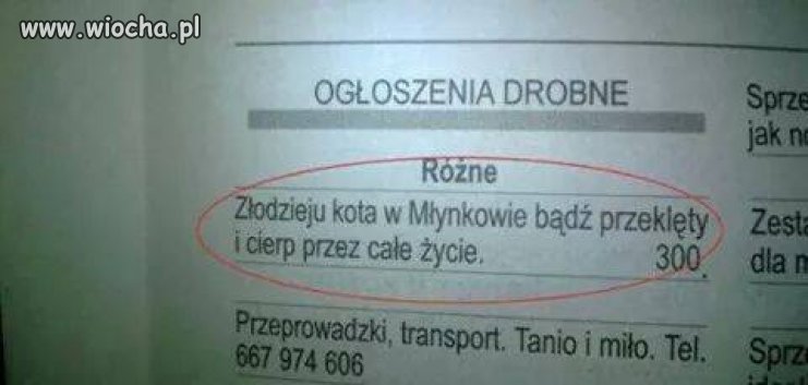 Ogłoszenia duszpasterskie 