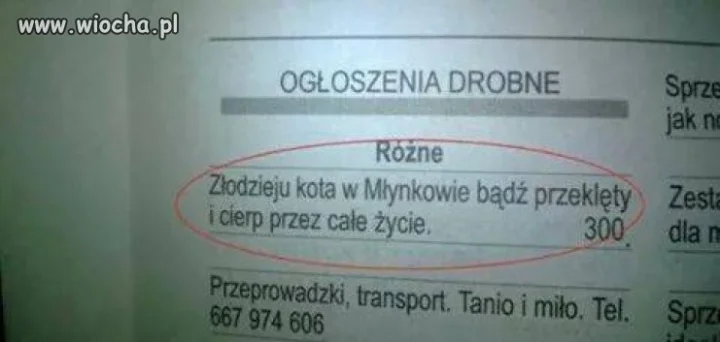 Ogłoszenia duszpasterskie 