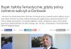 Idiota dał głos...