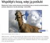 Miłość nie wybiera.