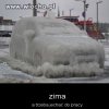 Zima