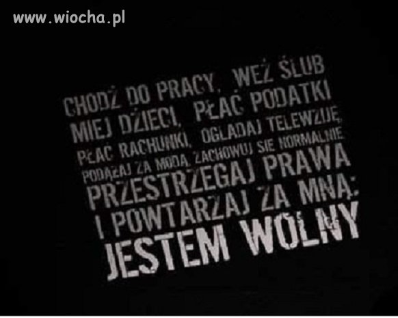 Jestem wolny ? Czyżby ?