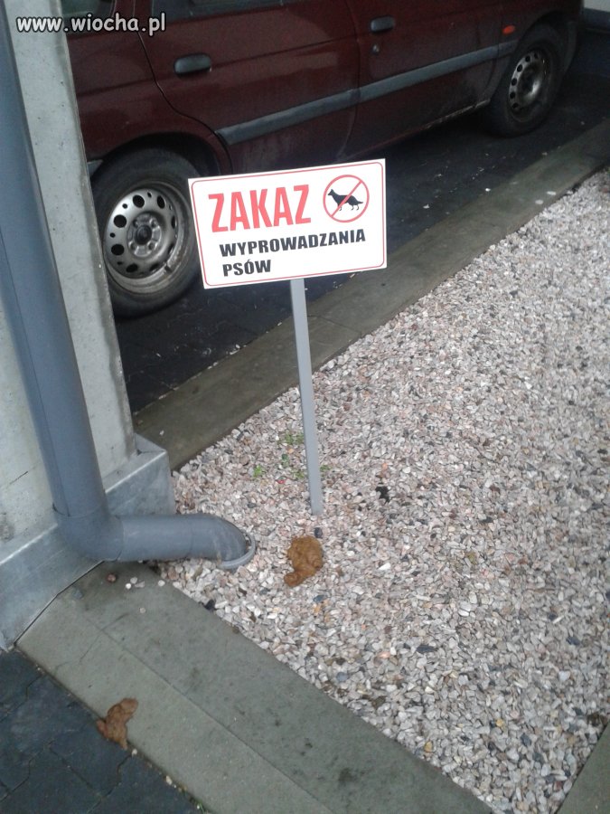 To co zakazane zawsze kusi ...