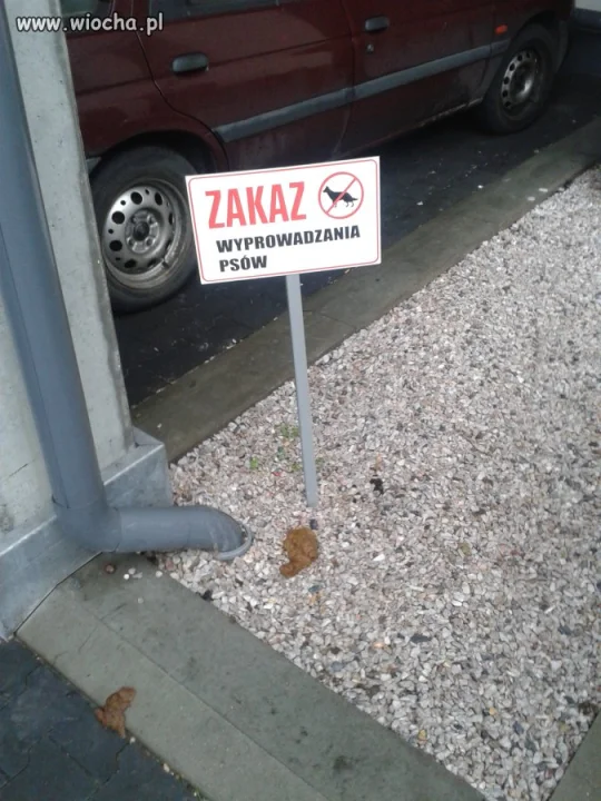 To co zakazane zawsze kusi ...