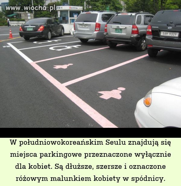 Ale żeby zaraz koło niepełnosprawnych. 