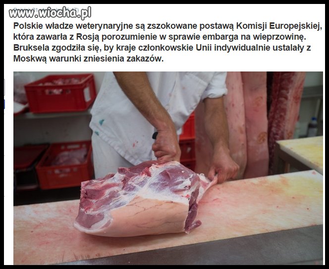 I znów ktoś wyruchał naszych hodowców!