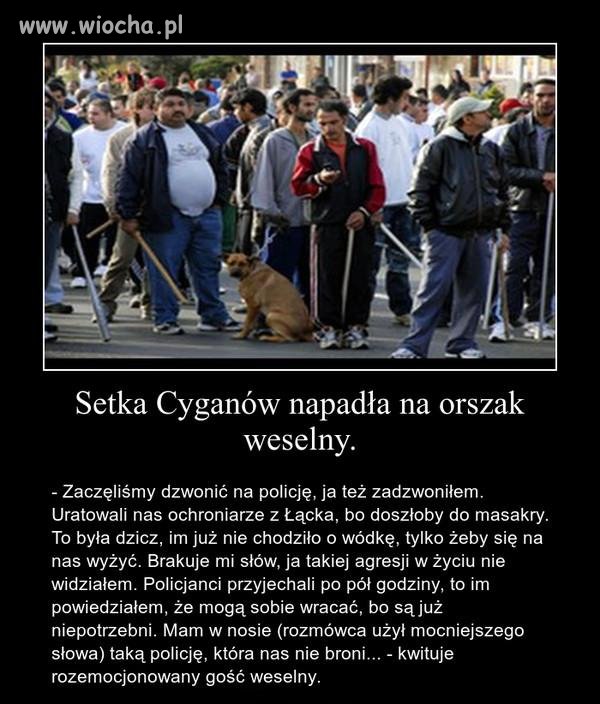 To dzięki poprawności politycznej 
