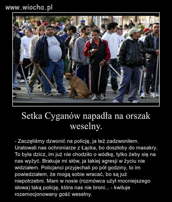 To dzięki poprawności politycznej 