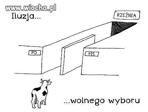 Iluzja wolnego wyboru
