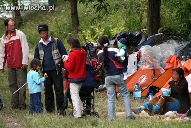 Puławy: 2 miliony złotych zmarnowane na program 