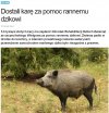 Czyli padlinę wozimy rowerem?!