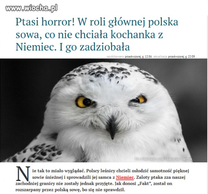 Wanda też nie chciała Niemca