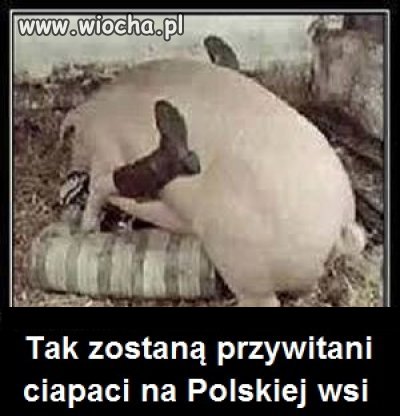 Tak zostaną przywitani