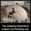 Tak zostaną przywitani