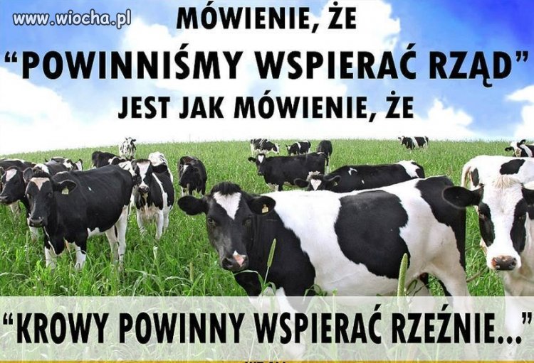 Ja tam mam w doopie