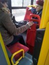 Mohery wracają z zakupów