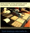 Bystrzacha z niego
