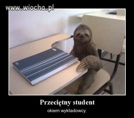 Przeciętny student okiem wykładowcy.