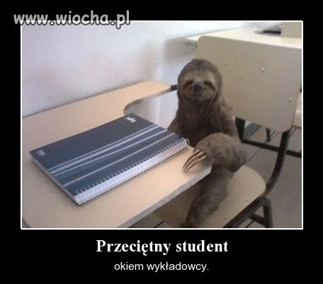 Przeciętny student okiem wykładowcy.