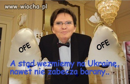 Chytra baba z Wiejskiej