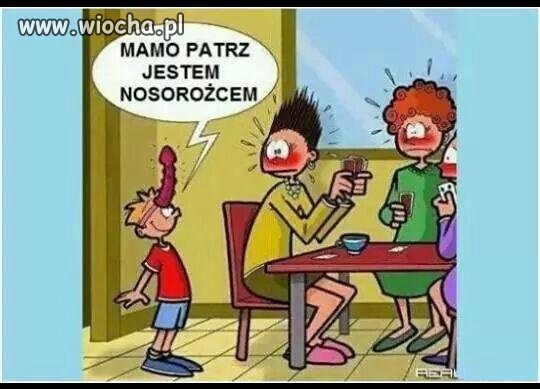 Nosorożec