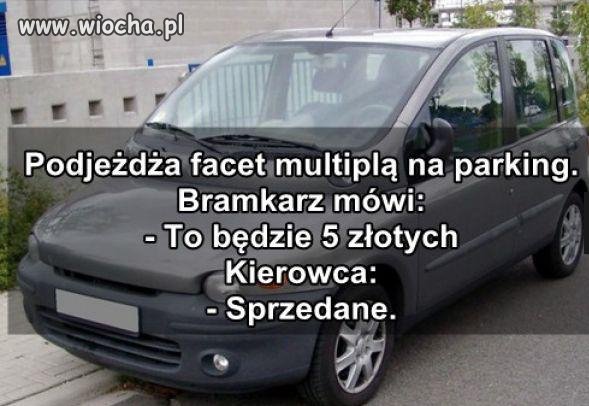 Multipla
