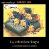 To jest tylko mały wycinek tego