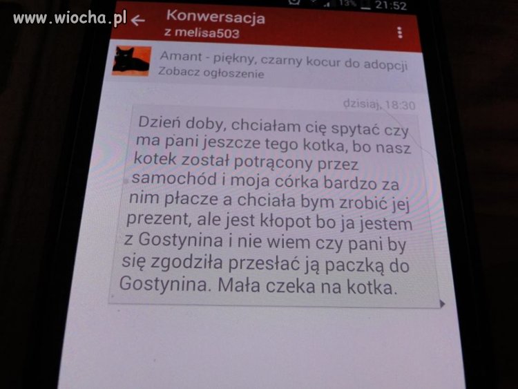 Debilizm totalny! Kotek w skrzynce na listy...