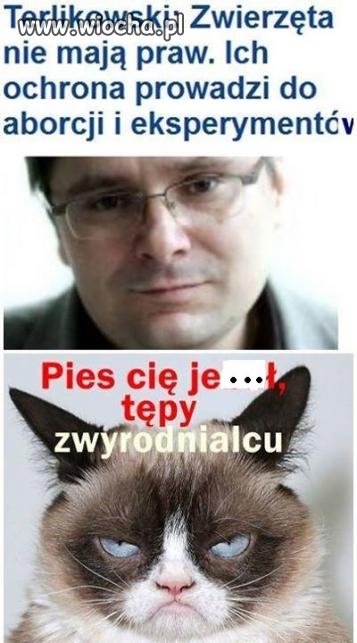 Terlik Wszechwiedzący