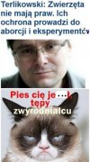 Terlik Wszechwiedzący