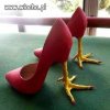 Buty dla kury domowej