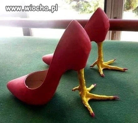 Buty dla kury domowej