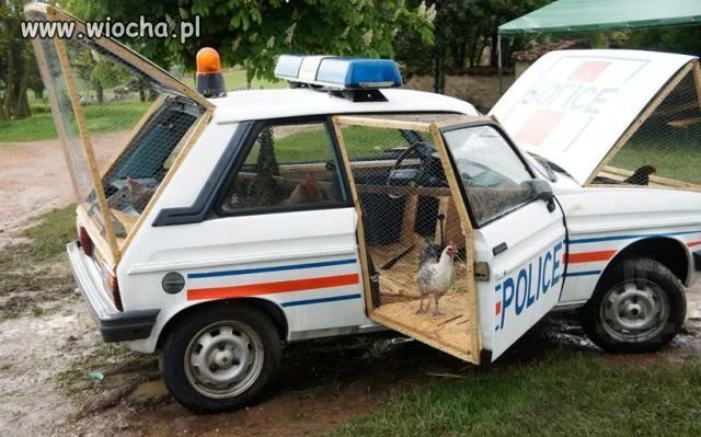 Dom dla kur.