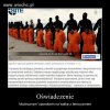Może to niehumanitarne ale oni nie są lepsi