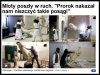 Ci biedni islamiści