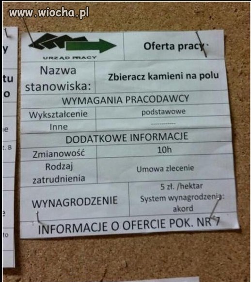 Mówią że żadna praca nie hańbi.