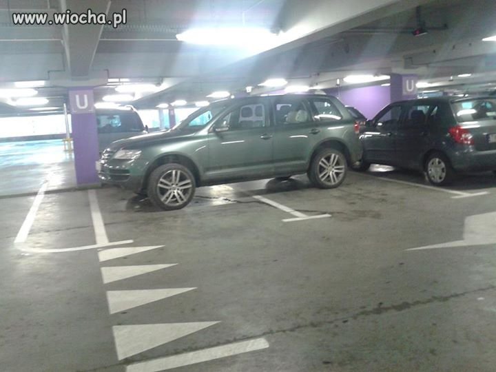 Po co te linie ?