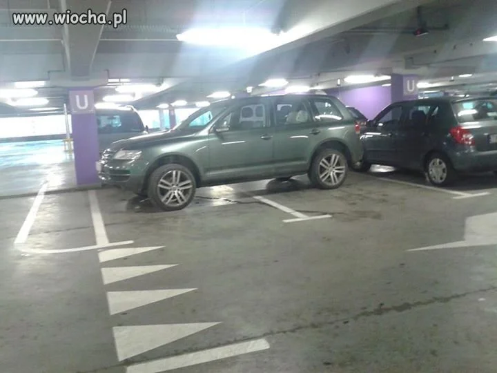 Po co te linie ?