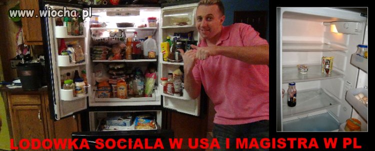 Lodówka PolishAdama33.  Milionera z USA