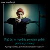 Coś dla lemingów