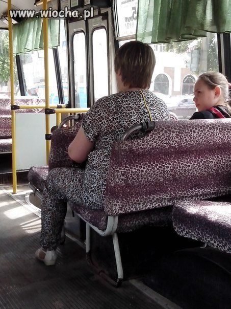 Może kanar nie zauważy 
