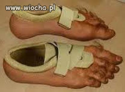 Nowa kolekcja