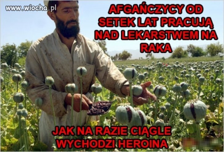 Afganska nauka