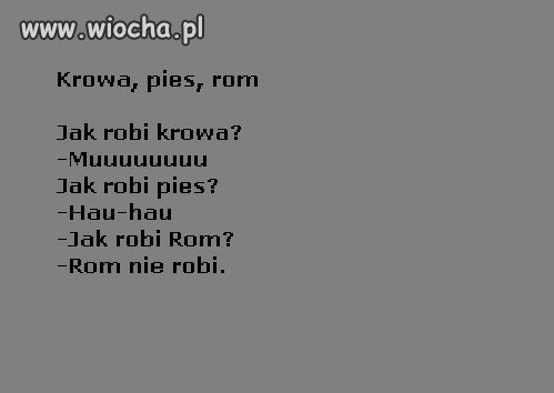 Krowa, pies i rom