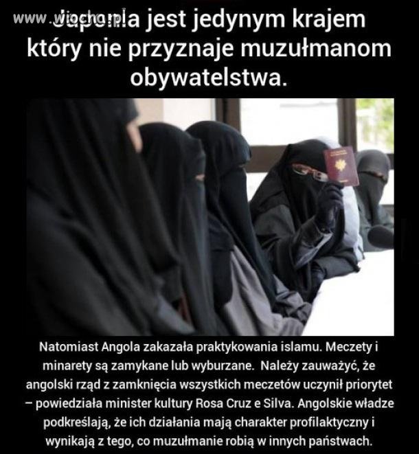 Japonia i Angola, do tych państw trzeba się uczyć