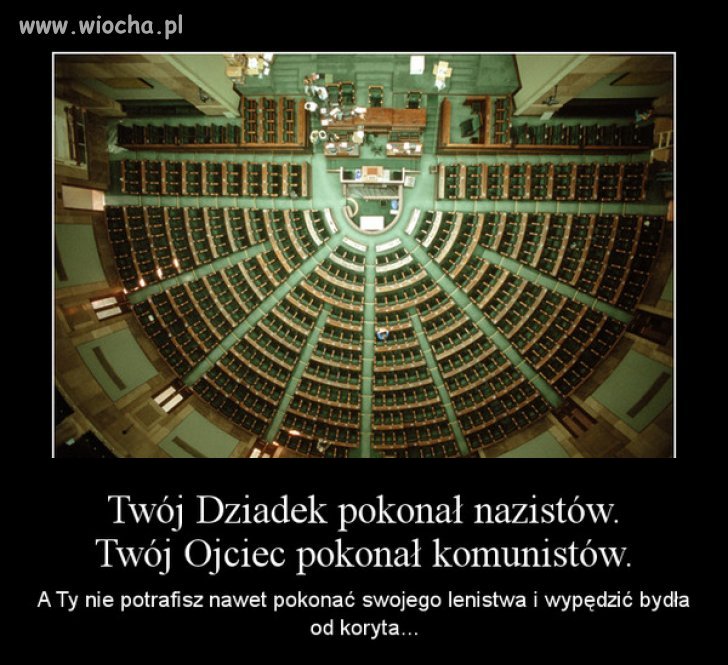 Siedzenie na d*pie i przyglądanie się jak kradną
