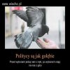 Szkoda że nie można
