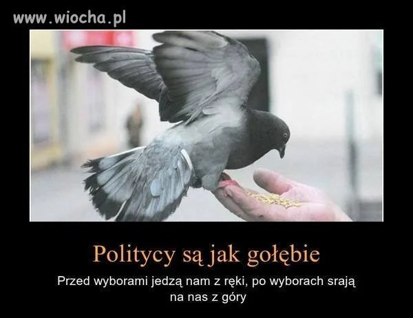Szkoda że nie można